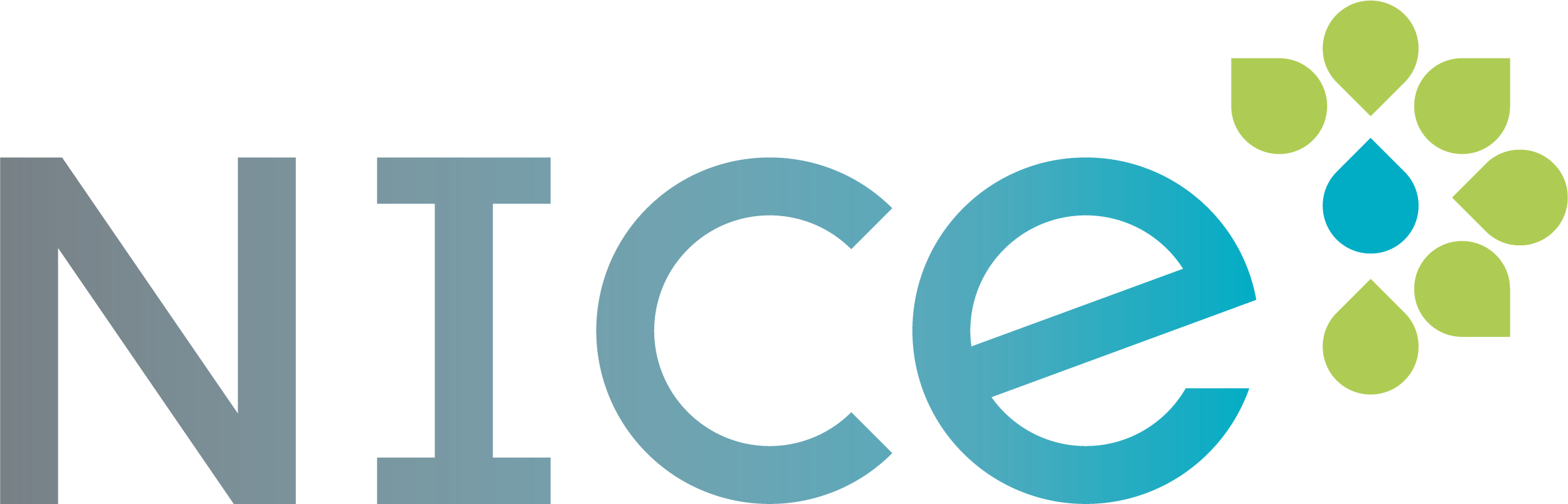 RZ NICE Logo 4C gradient