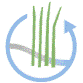 swamp logo 2  web