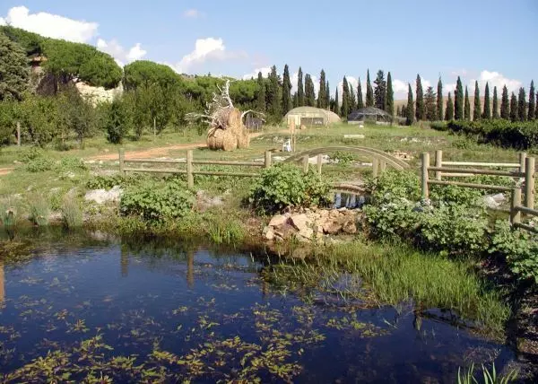 IRIDRA - Uliveti e acque di vegetazione
