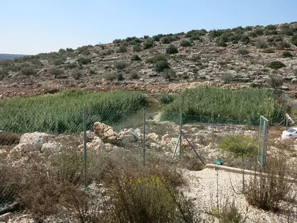 IRIDRA progetto per Villaggio di Hajja (Palestina)