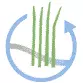 iridra - Swamp logo